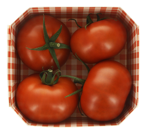  Toma'gusto tomate gourmet