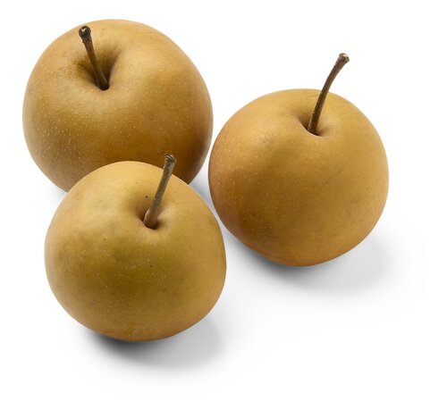  Poire Nashi Bio