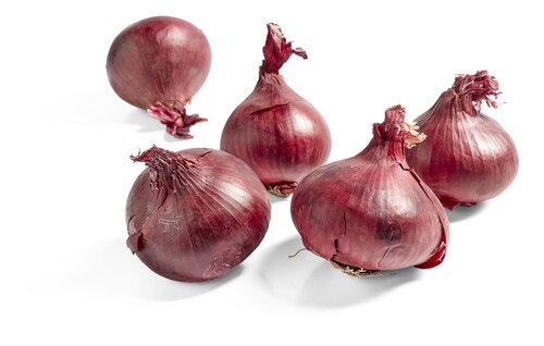  oignons rouges Bio P