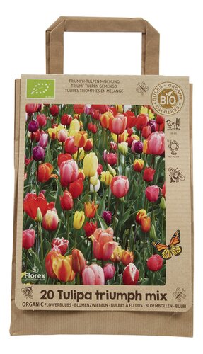  bulbe Tulipa Collection bio