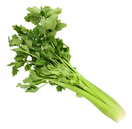  céleri vert