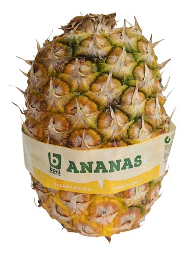 BONI Ananas Kroonloos