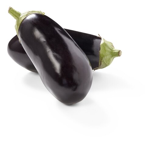  aubergine Bio