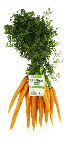 BONI carrotes botte