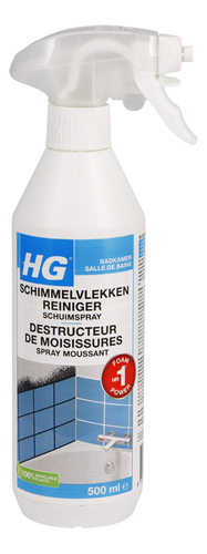 HG destructeur de moisissures