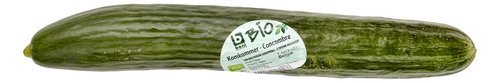 BONI BIO concombre
