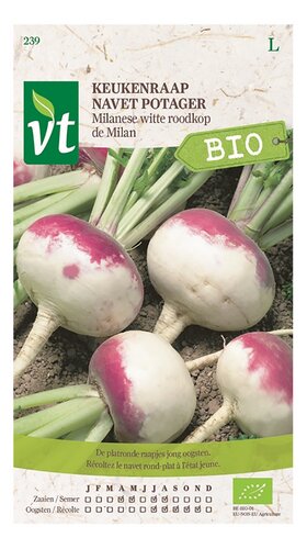 VT Bio navet potager de Milan 239