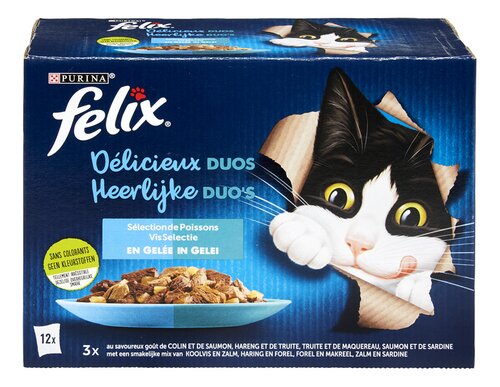 FELIX duos poisson paté chat