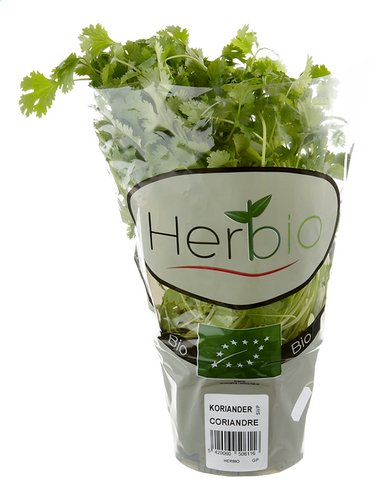 HERBIO Coriandre Bio