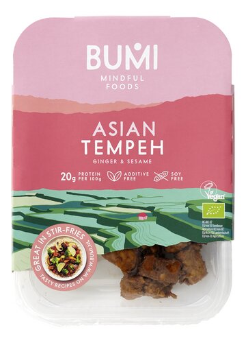BUMI cubes tempeh asiatiques Bio
