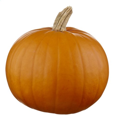  Potiron Halloween Bio