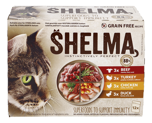 SHELMA Viande en sauce