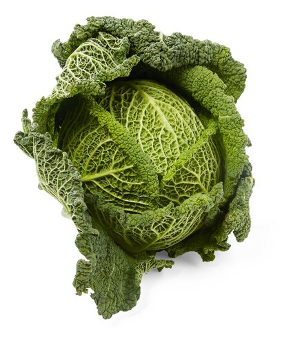  Chou Vert Bio