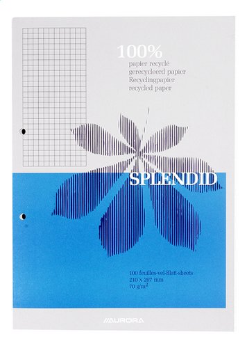 SPLENDID bloc de cours A4 100 f. quadr.