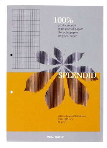 SPLENDID bloc de cours A4 100 f. comm.