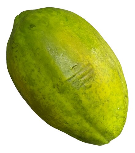 Papaya W