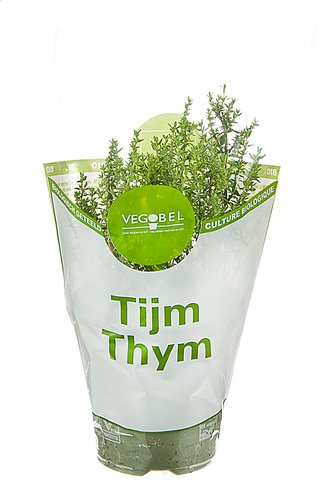  Herbes Aromatiques bio thym