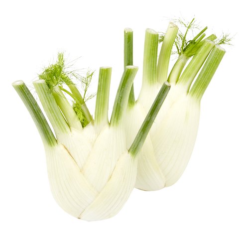  fenouil