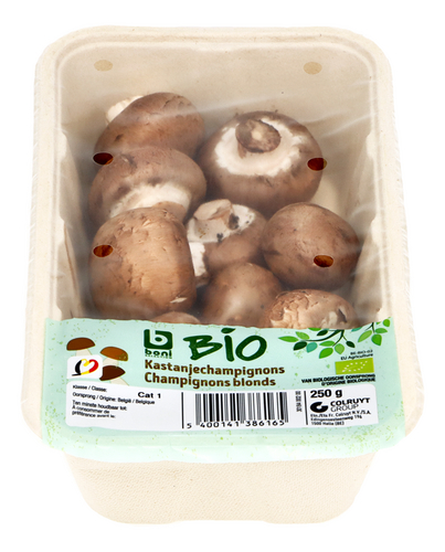 BONI BIO kastanjechampignons