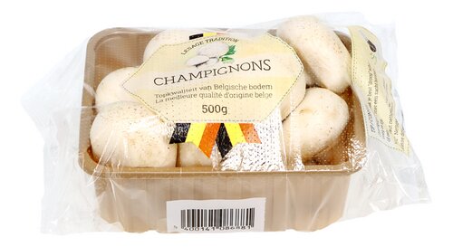  Champignons