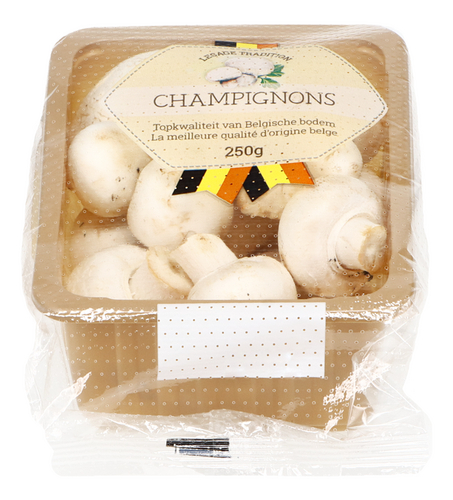  Champignons fin