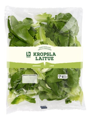 BONI laitue tendre