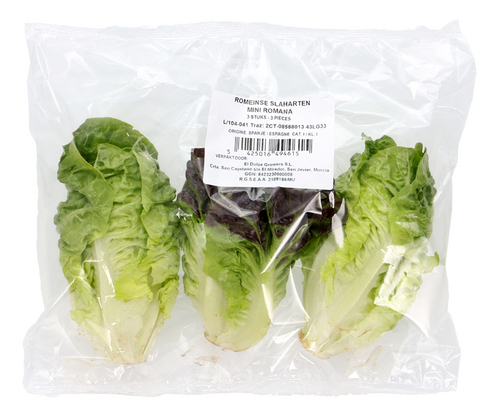  Coeurs de laitue romaine