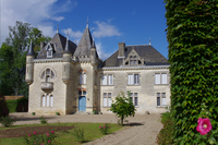 Château Côte de Baleau 2019 37,5 cl