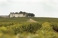 Château Suduiraut 2018 75 cl